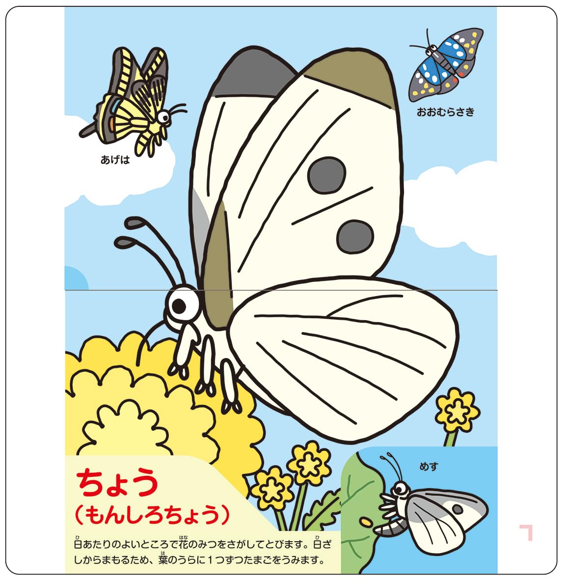 のびのび博士の昆虫へんしんパタパタシアター by藤原邦恭 ｜全商品一覧