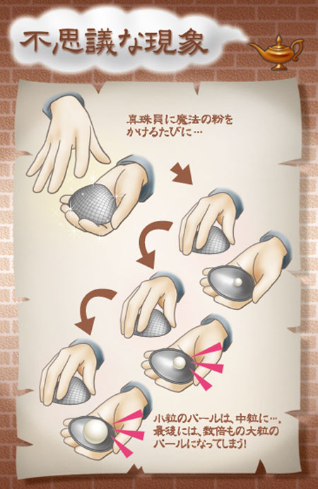 DP 魔法の真珠貝