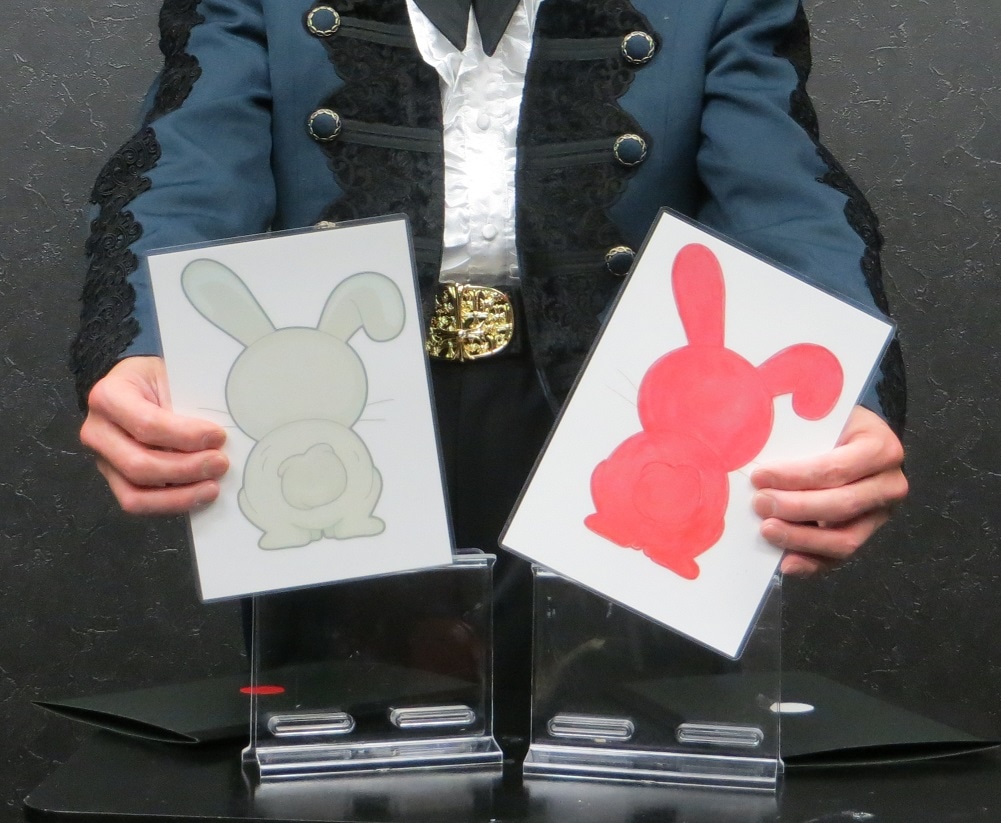 パーフェクトヒッピーホップラビット ※