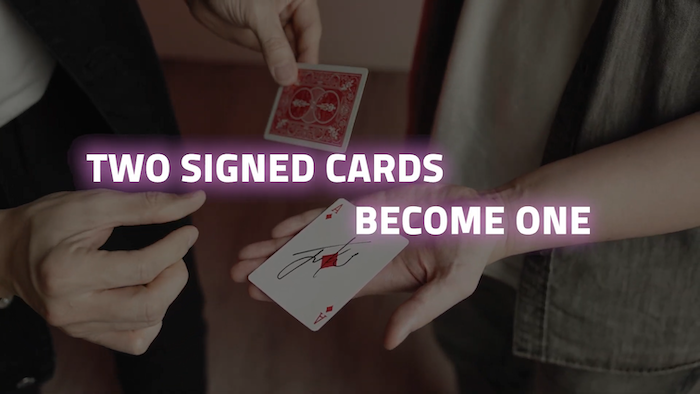 ANNIVERSARY 2.0: THE FINAL WALTZ byPatrick Kun