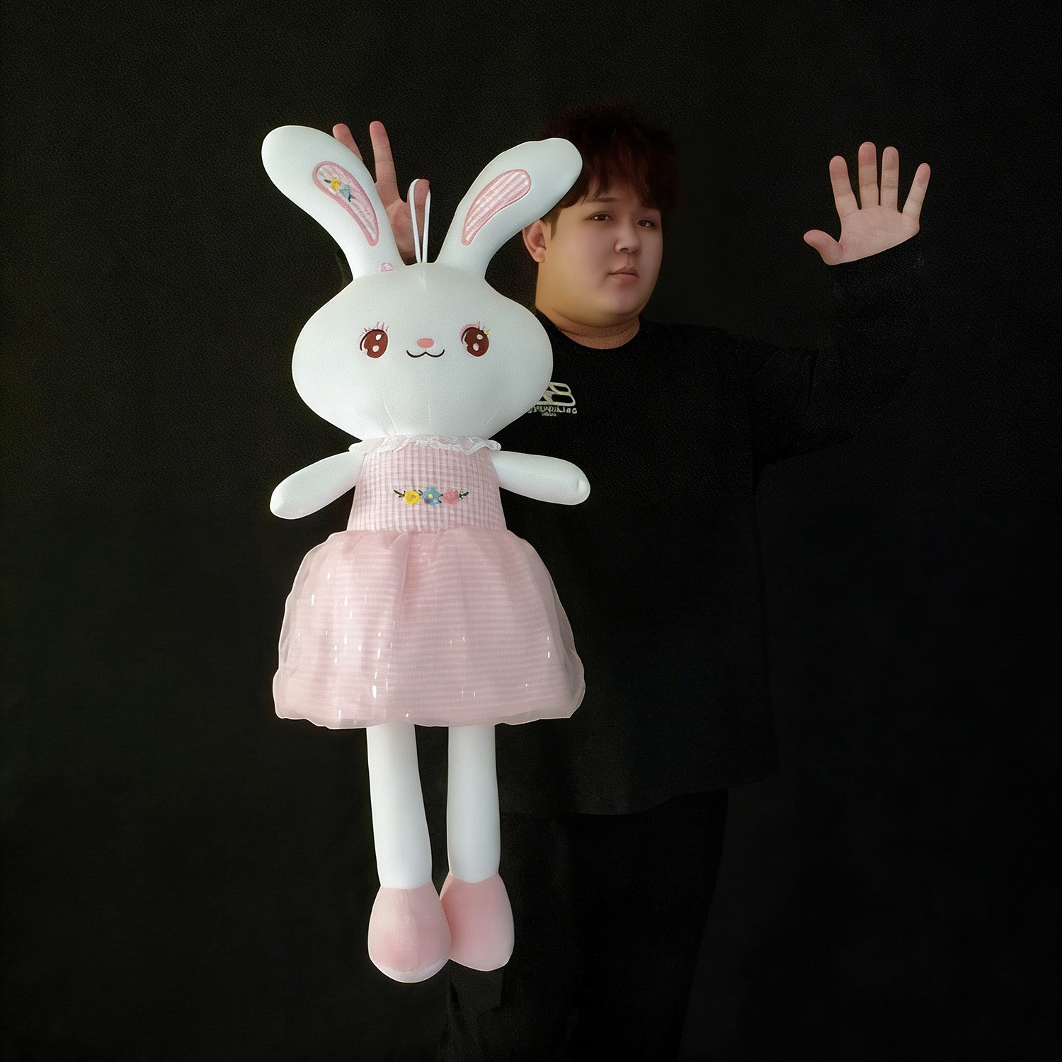Appearing Rabbit