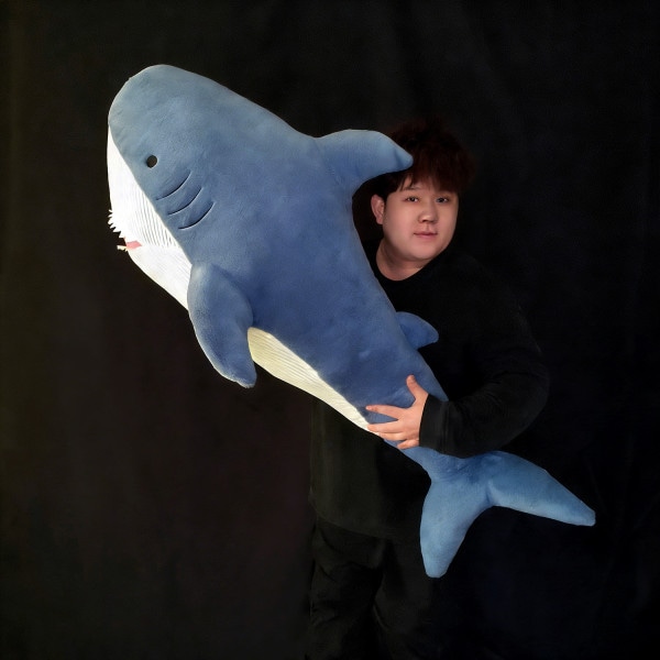 Appearing Shark