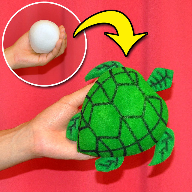 DP ウサギとカメのスポンジセット