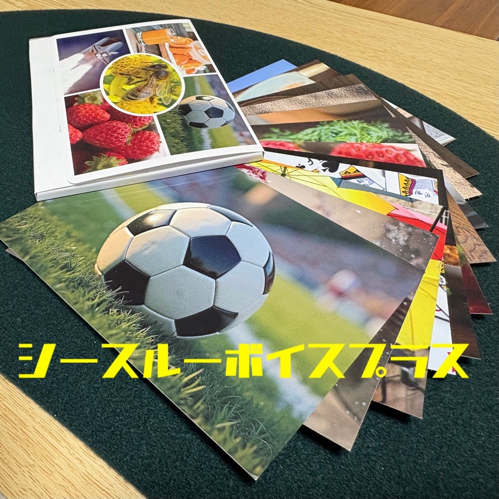 シースルーボイス プラス／シースルーマインド プラス by翔