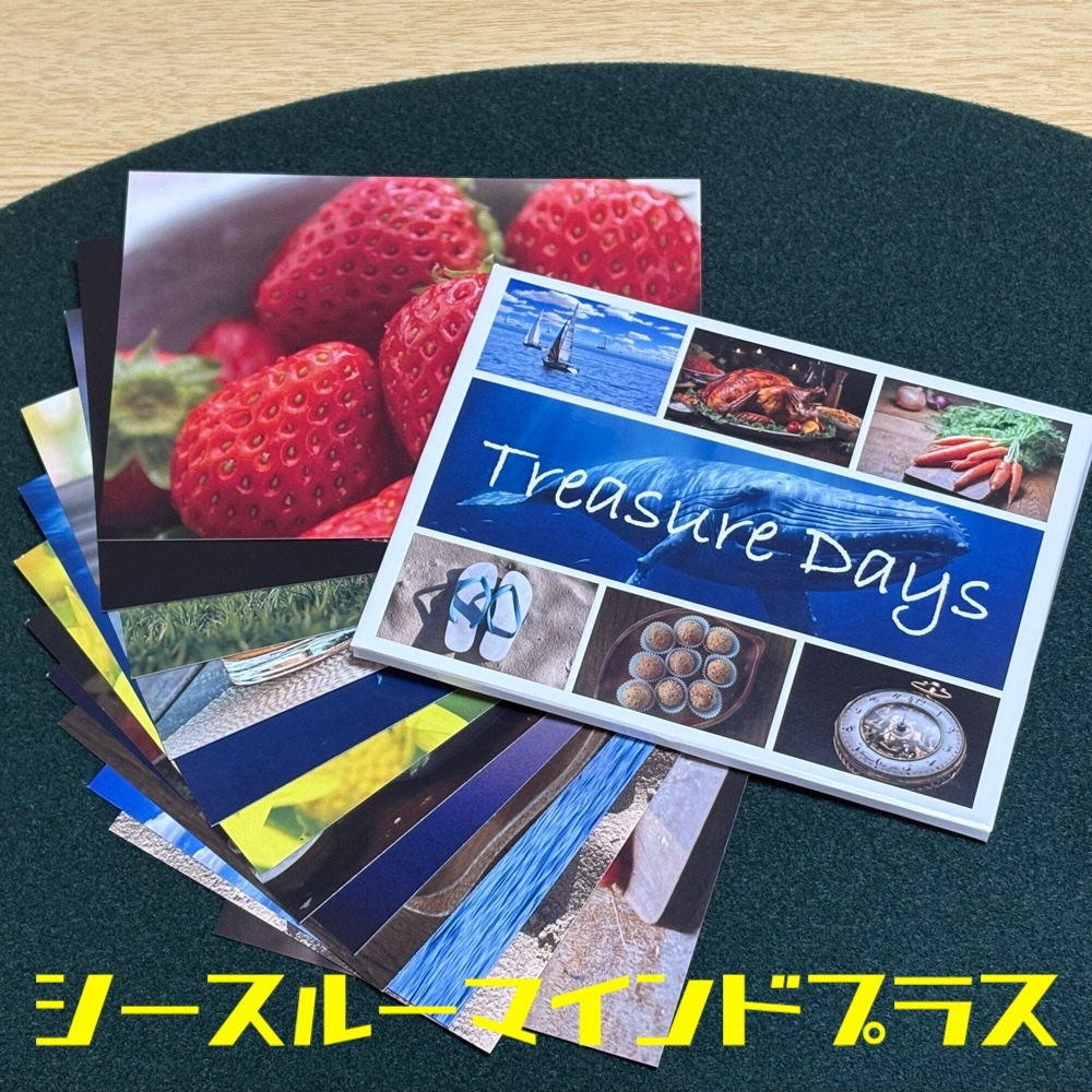 シースルーボイス プラス／シースルーマインド プラス by翔