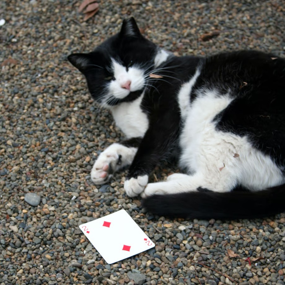 インスタプリディクション