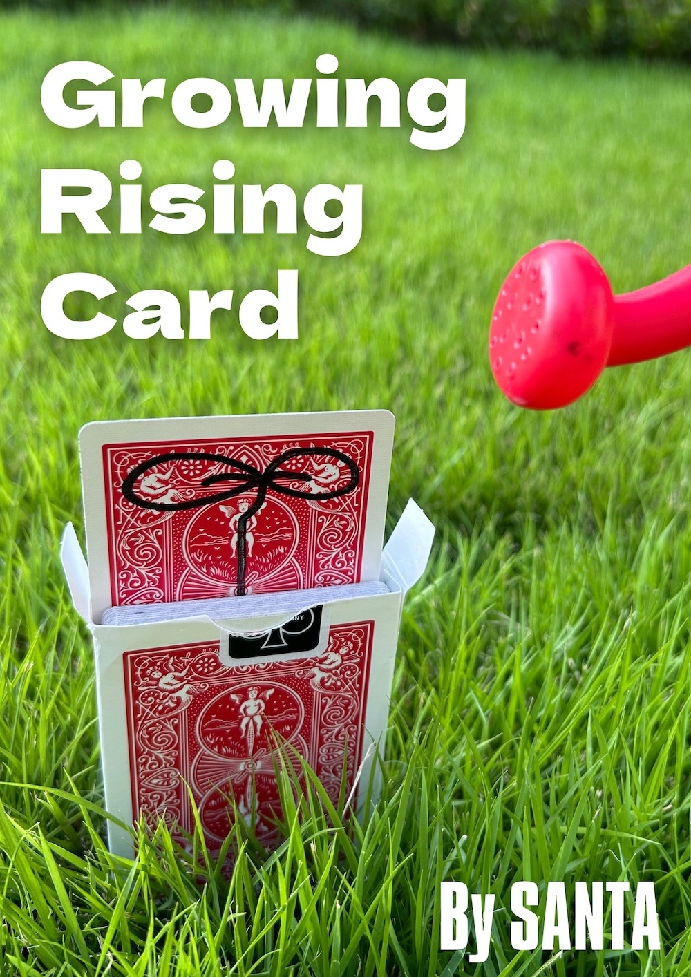 Growing Rising Card by SANTA