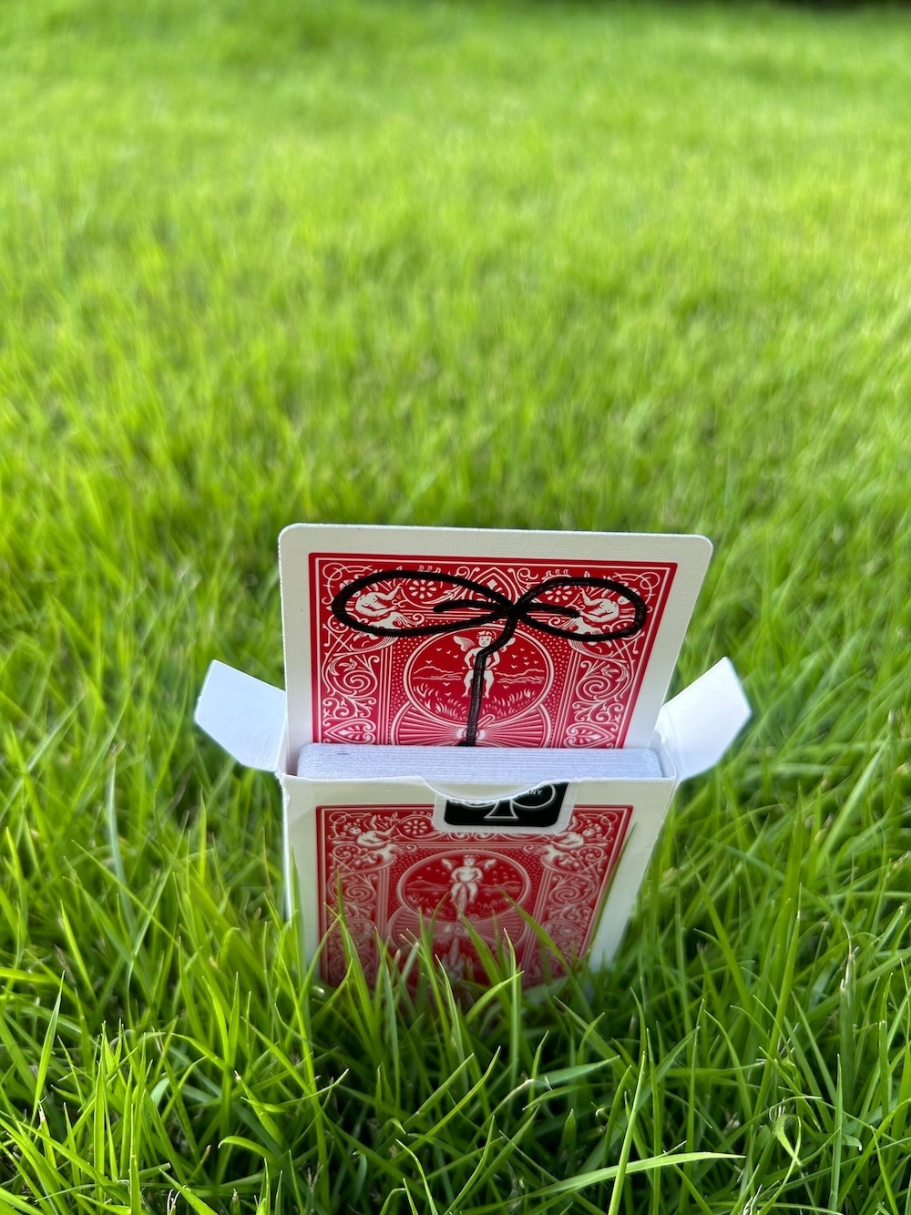 Growing Rising Card by SANTA