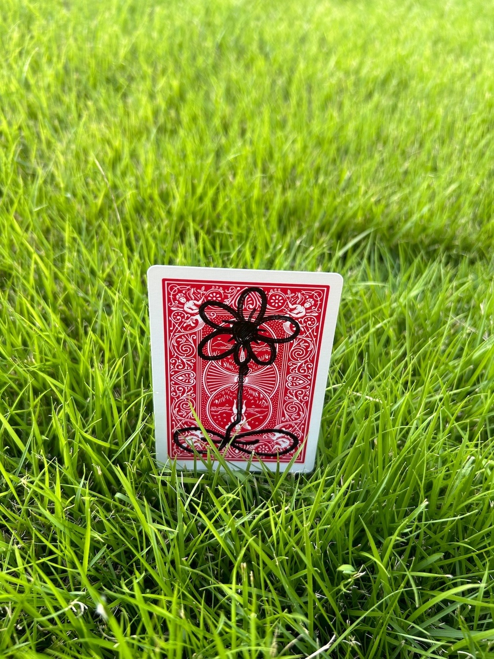 Growing Rising Card by SANTA