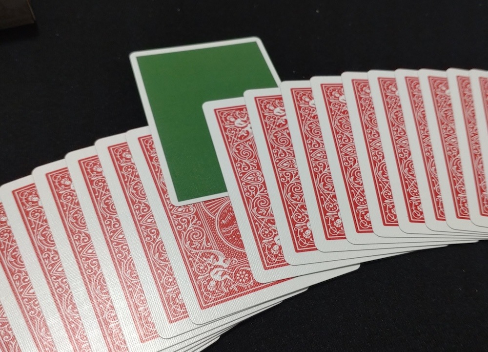 シカゴのカメレオン