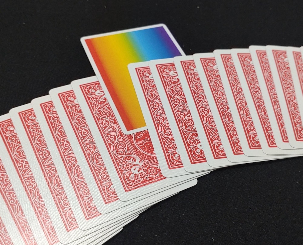 シカゴのカメレオン