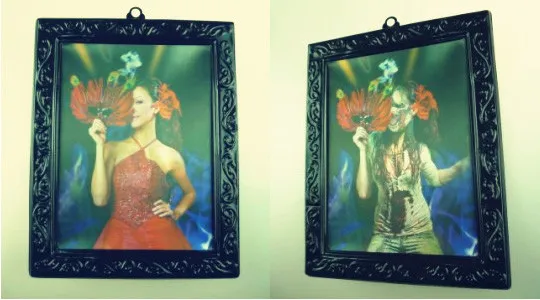 チェンジングピクチャー５種類セット