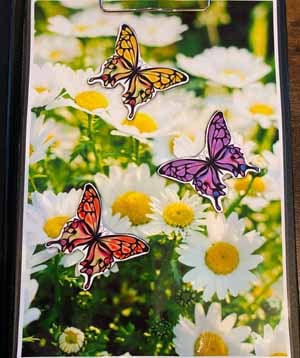 バタフライプロダクション