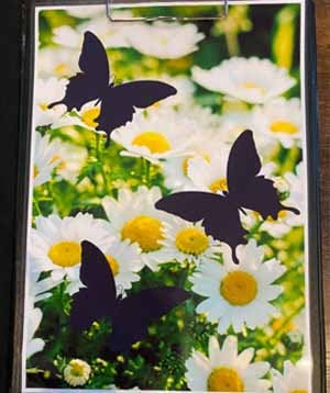 バタフライプロダクション