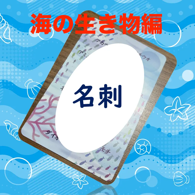 ポケットマインズカード ライト＜国名版＞