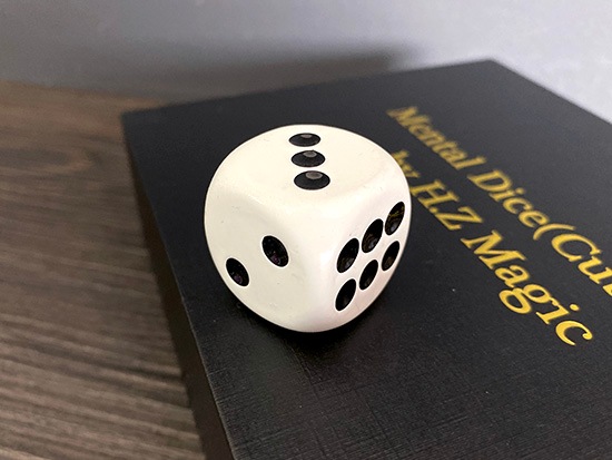 Mental Dice and Cube ※ ｜全商品一覧や手品グッズ揃うマジック 