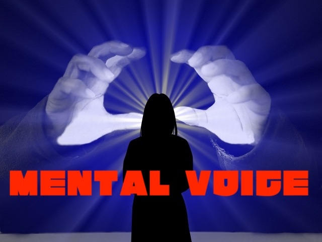 MENTAL VOICE ｜全商品一覧や手品グッズ揃うマジックショップ｜セオ 
