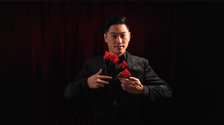 Y Rose 2.0 by Bond Lee ｜全商品一覧や手品グッズ揃うマジック 