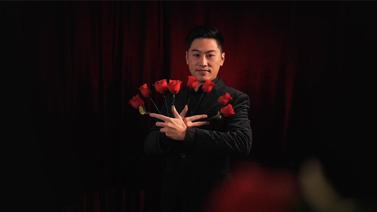 Y Rose 2.0 by Bond Lee ｜全商品一覧や手品グッズ揃うマジック 