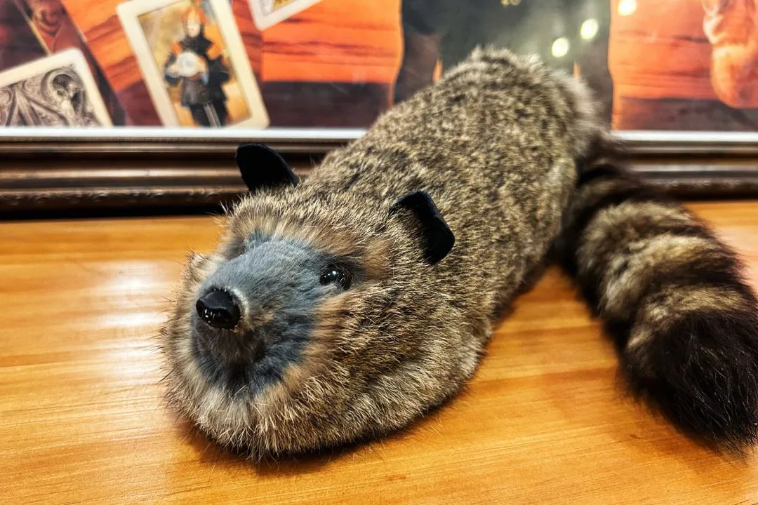 ロッキー•ザ•ラクーンマギー審司ラッキーアライグマパペット手品