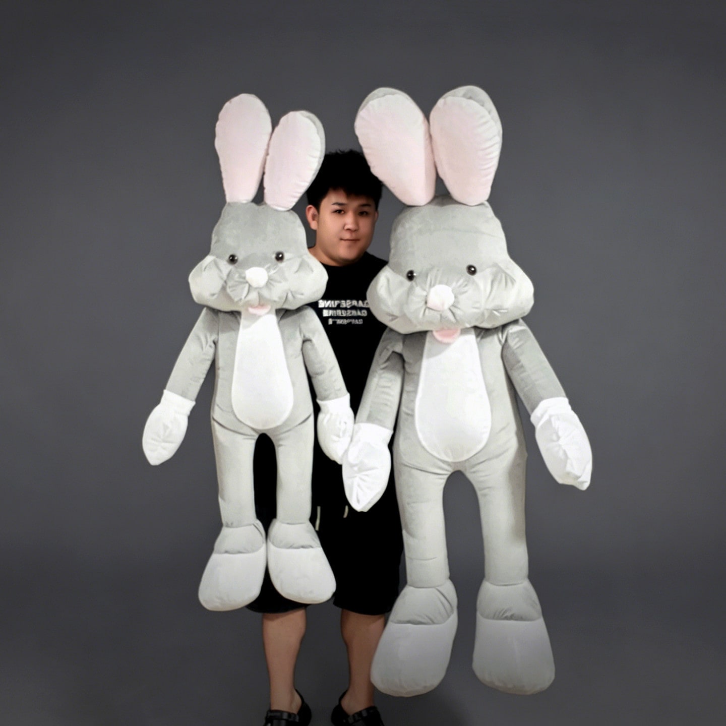 Appearing Rabbit V2