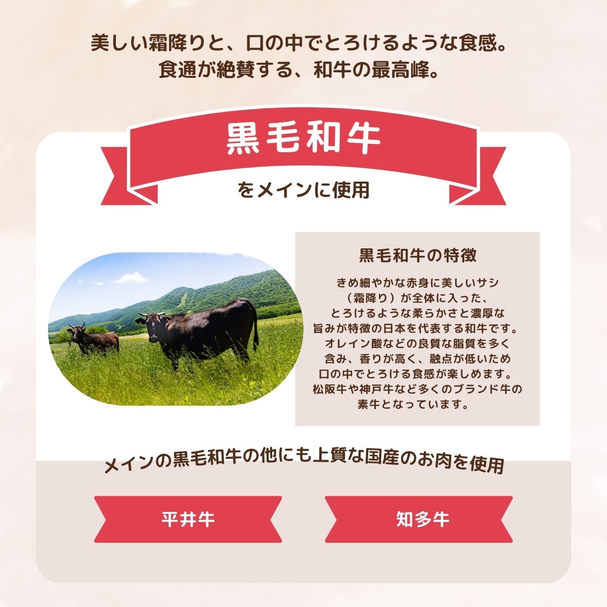 国産和牛　肉ケーキ 約500ｇ 3~4人前