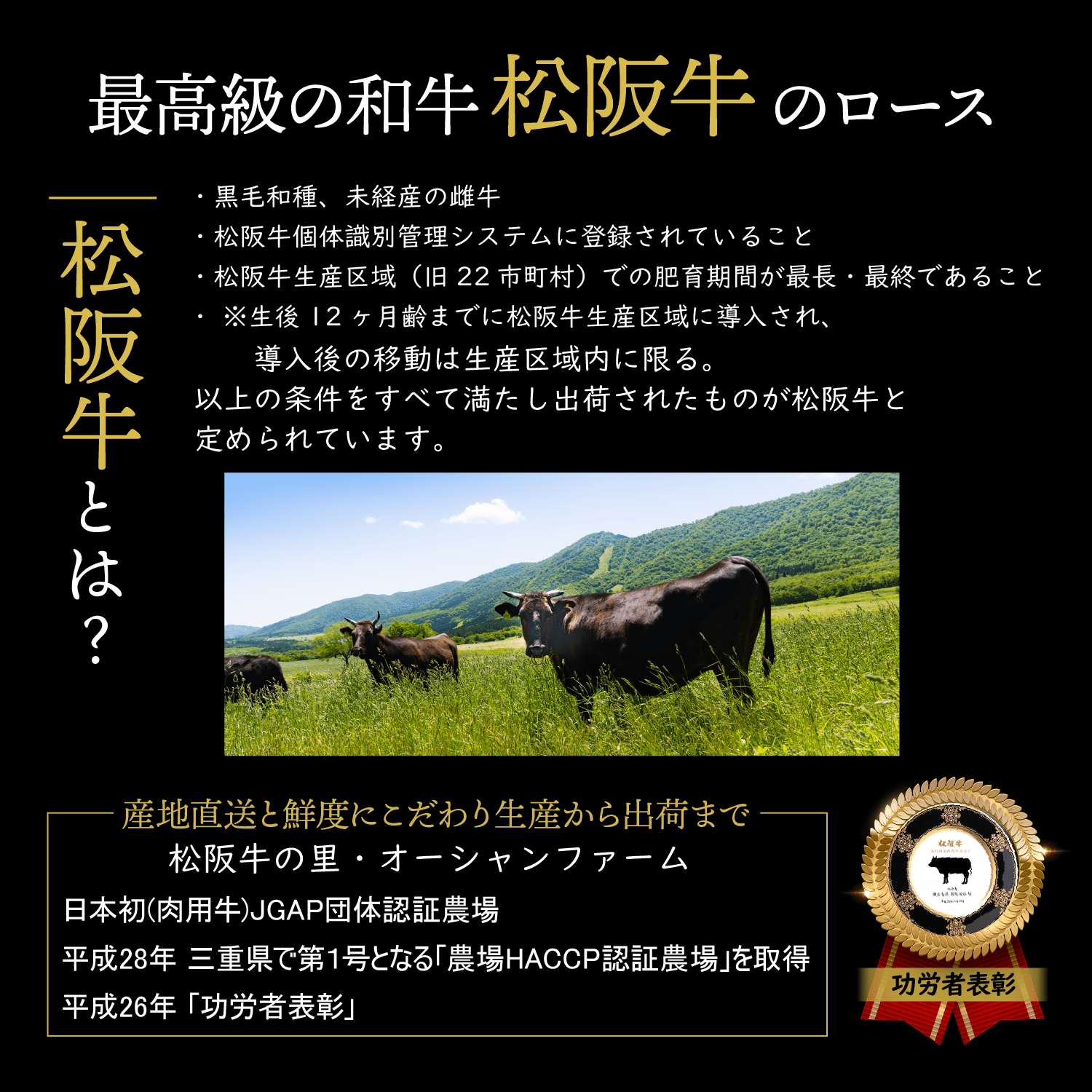 松阪牛 ミニ ハート型 サーロインステーキ 約104g （約13g×8個）