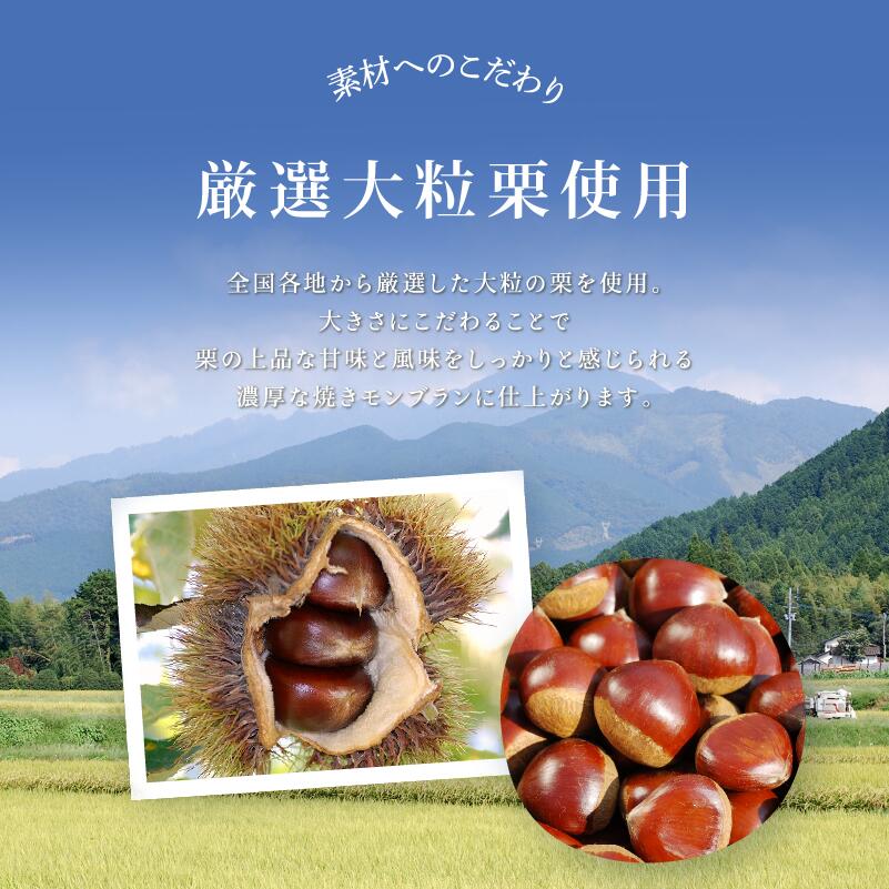 栗ごろり（6個入り）
