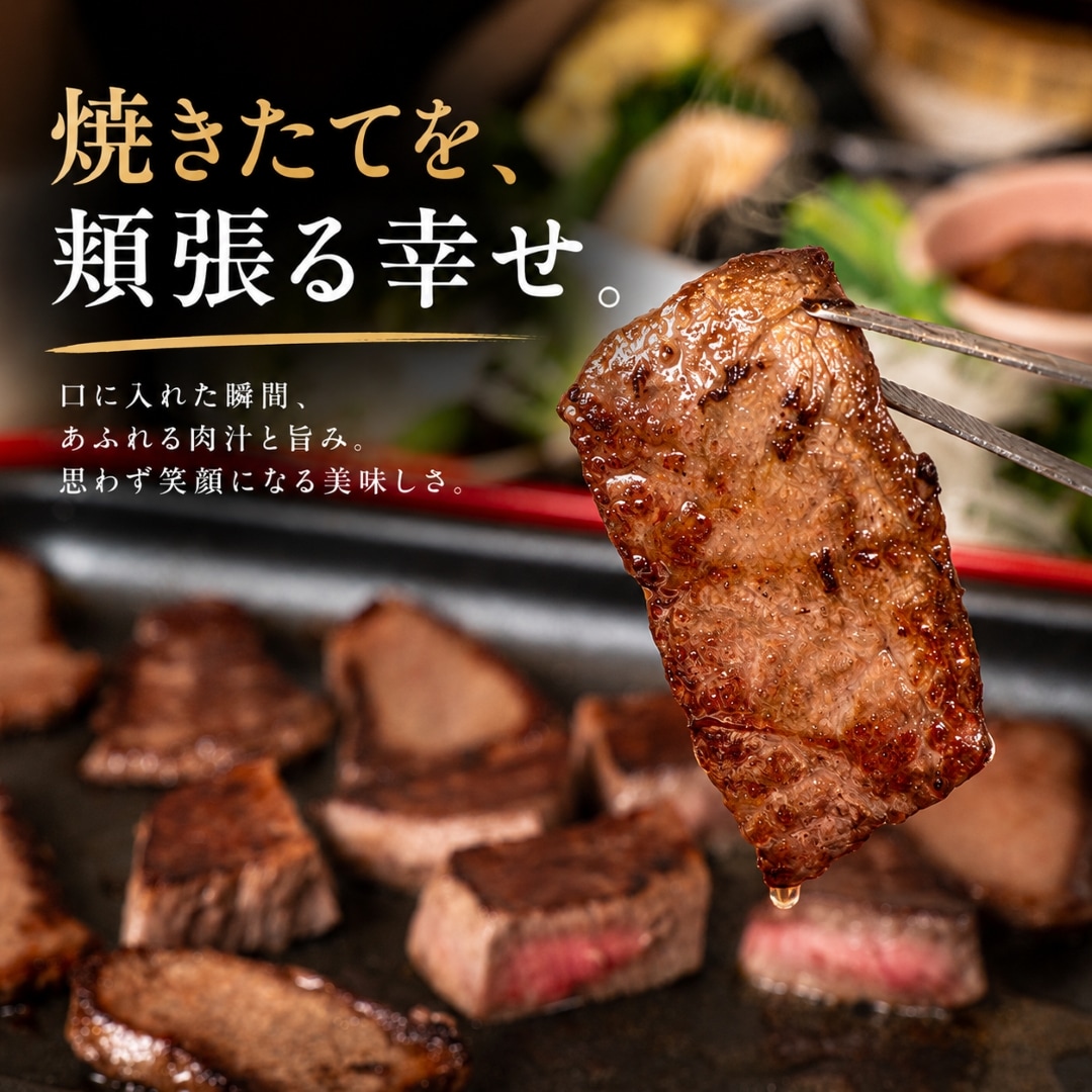 焼肉セット セレクト4種 合計約510g (牛タン・カルビ・赤身・ハラミ)