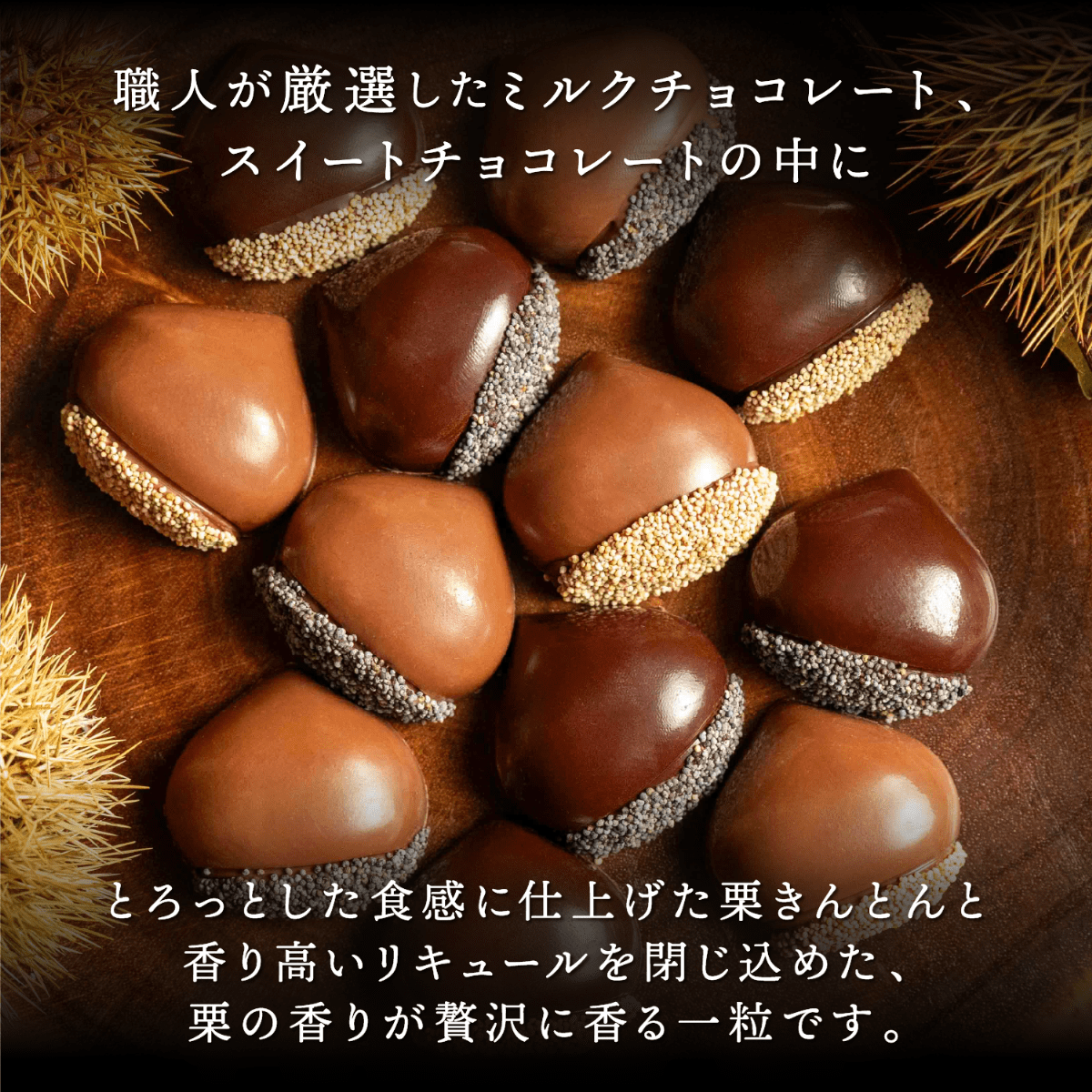 ほろよい一粒　栗ちょこら