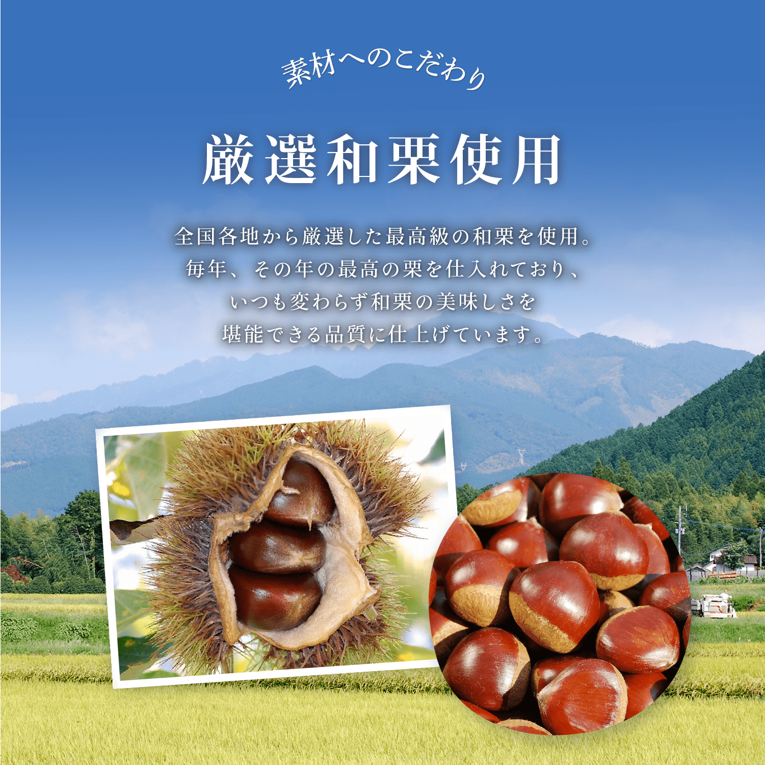 ほろよい一粒　栗ちょこら