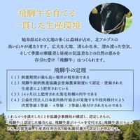 飛騨牛 サーロインステーキ