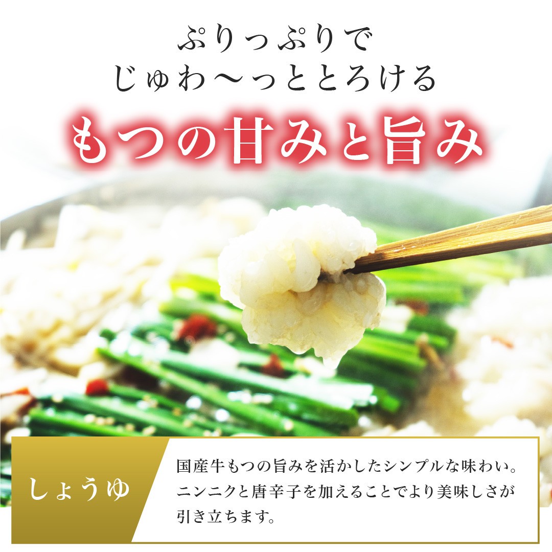 黒毛和牛 もつ鍋セット （2~3人前）