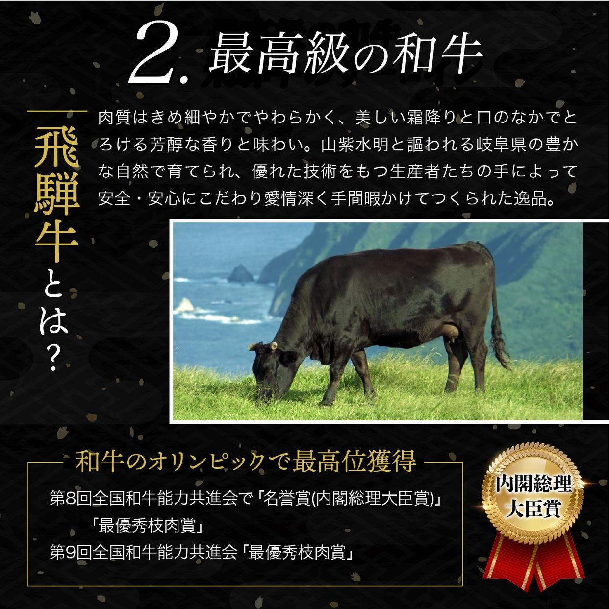 飛騨牛入りハンバーグ