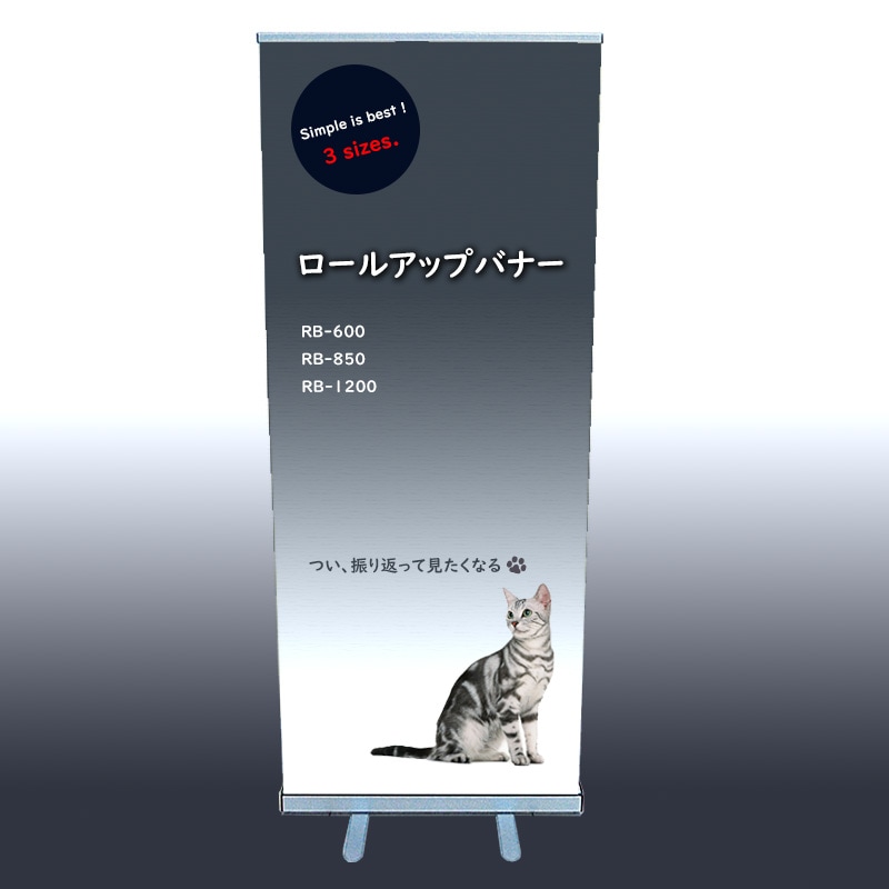 �����륢�åץХʡ����åȡ�RB-850��