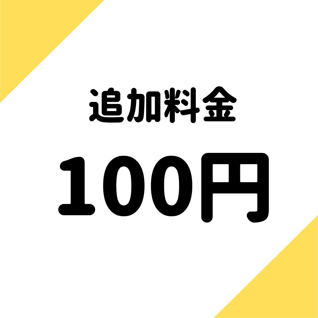 【100円】追加料金100円分【購入ページ】