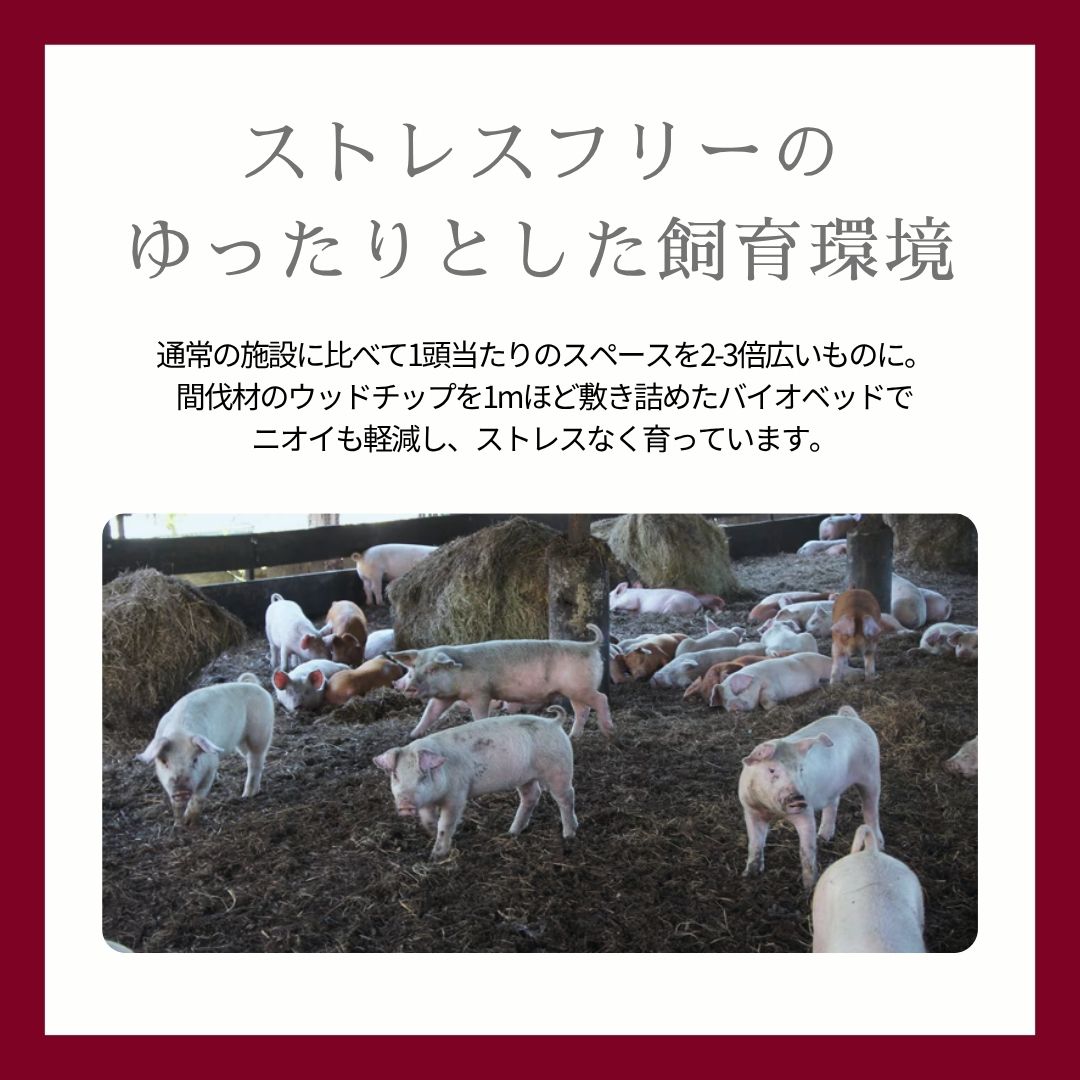 瀬戸のもち豚 プレスハム（100g）