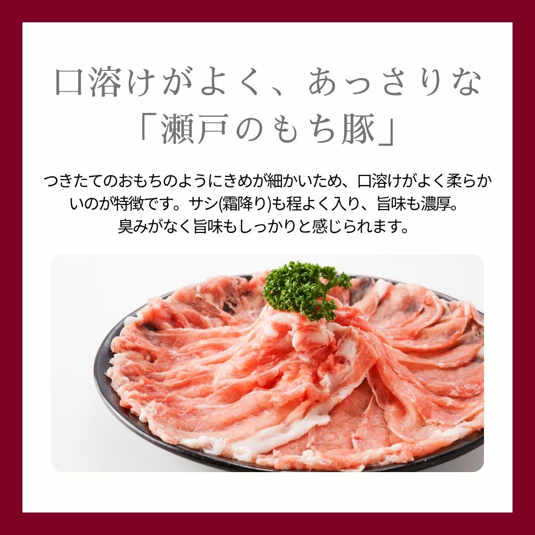 ふるさと納税 N40-4  ありたぶた バラエティAセット (豚肉6種) 3回 定期便 小分け 真空パック 豚肉 ロース バラ ウ.. 佐賀県有田町 ふるさと納税6回定期便 豚肉6種セットありたぶた