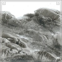 中国 山水画 手描き 中26 手のひらで描いた絵 横長 15×30cm 手掌画 台紙無し 額無し|中サイズ[横長15×30cm]|[書画07]手掌画(てのひら絵)