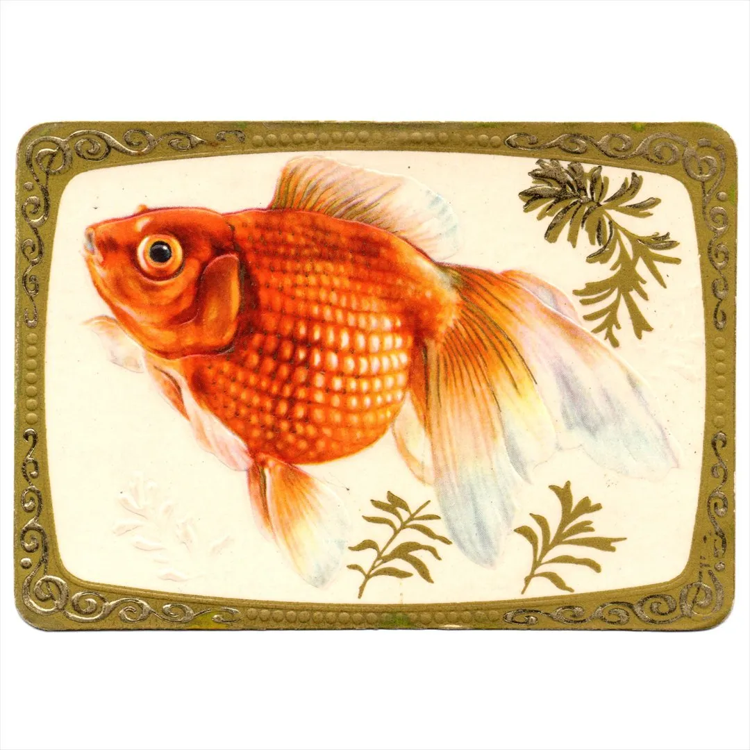 中国 昔のカレンダー カード 1978年 11 金魚 コレクション