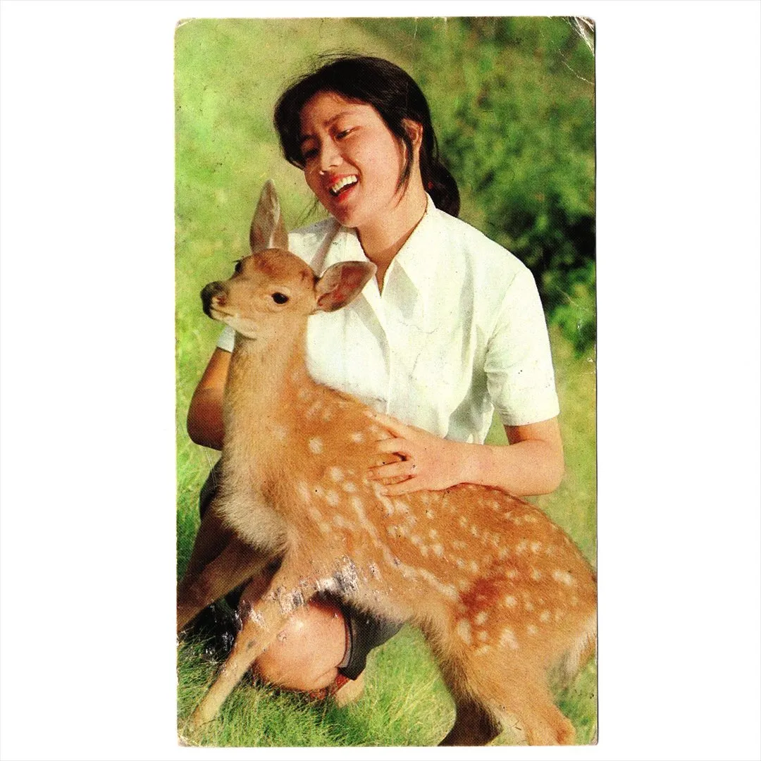 中国 昔のカレンダー カード 1982年 01 小鹿と少女 訳あり(凹みキズ) 工商出版社 北京市新華書店 コレクション