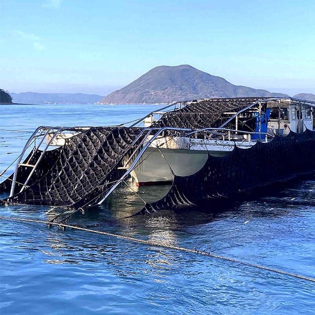 初摘み生のり佃煮