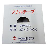 �֥���ơ���(VD����)��22�ҡ�3t��4m