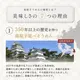 島原手延べそうめん（紙箱タイプ）10束・15束・20束