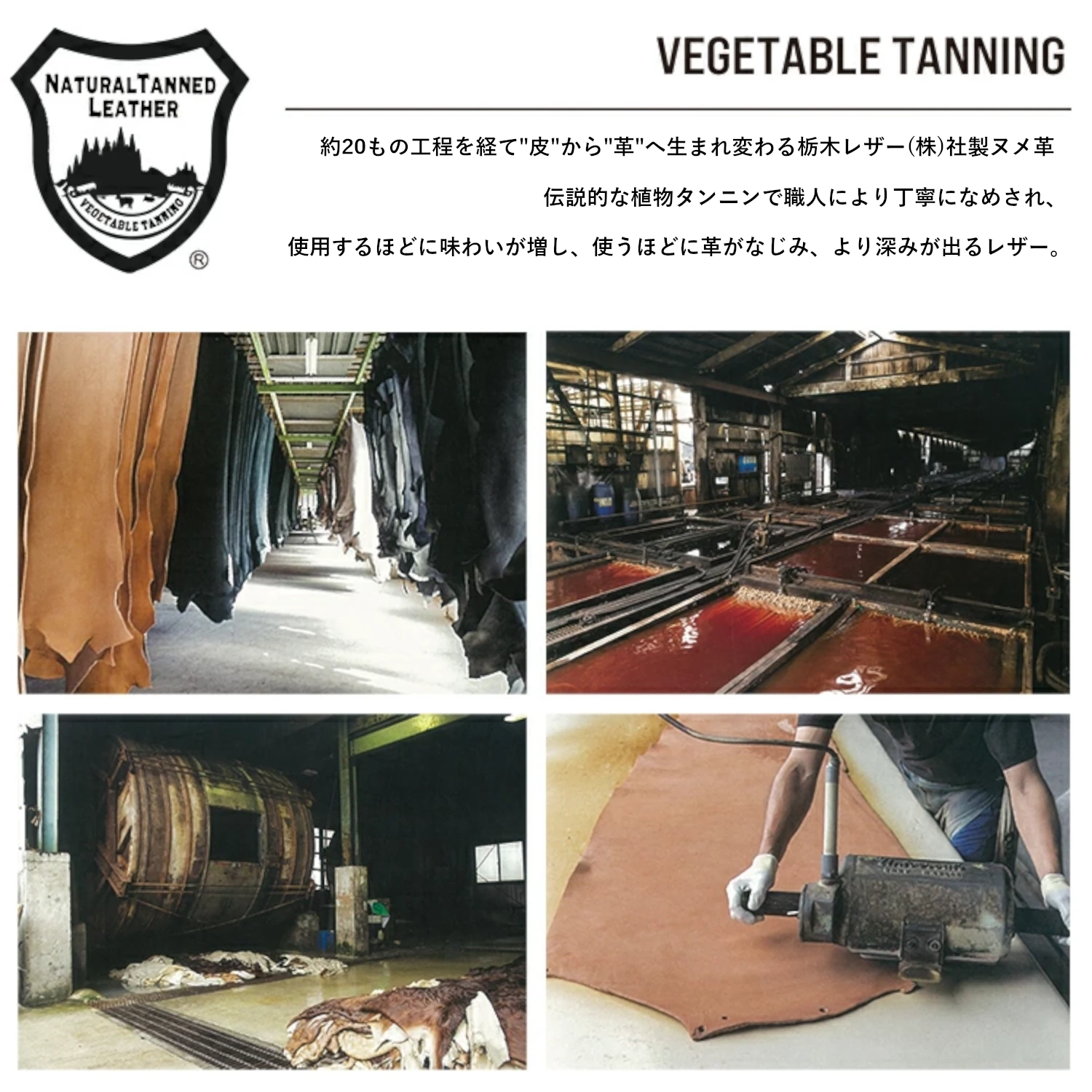 栃木レザージーンズ 片マチ付札入 【TGS-3355】 二つ折り財布 国産牛革