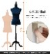 κѥȥ륽 CN-10 IV(ܥ꡼) NV(ͥӡ) BK(֥å) ST(ȥ饤)