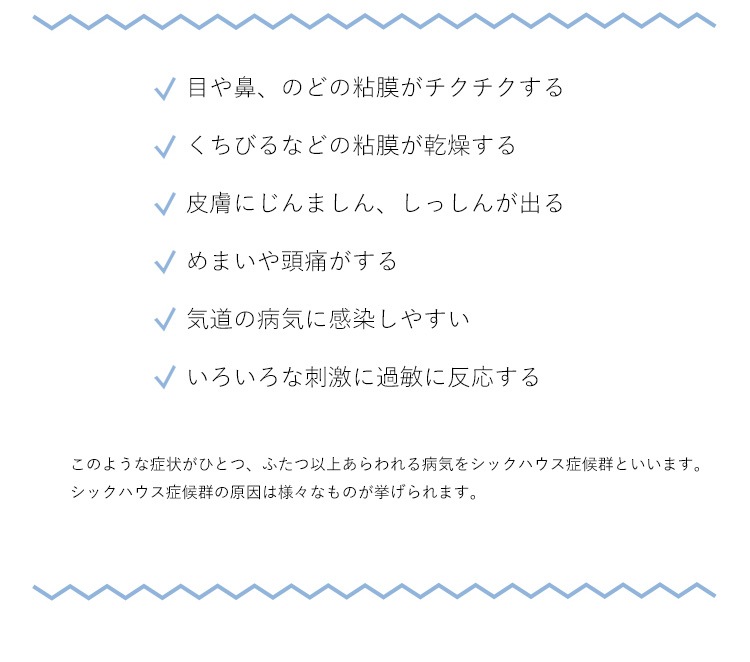 エコファ 【ECOFUR-300】 シックハウス対策スプレー(300mlタイプ)