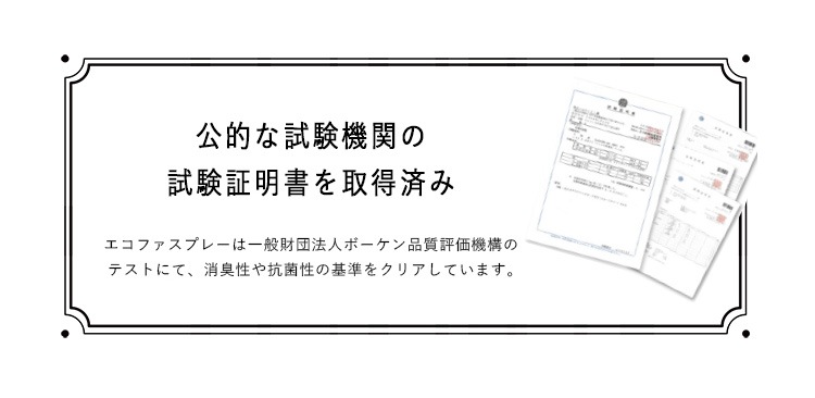 エコファ 【ECOFUR-300】 シックハウス対策スプレー(300mlタイプ)