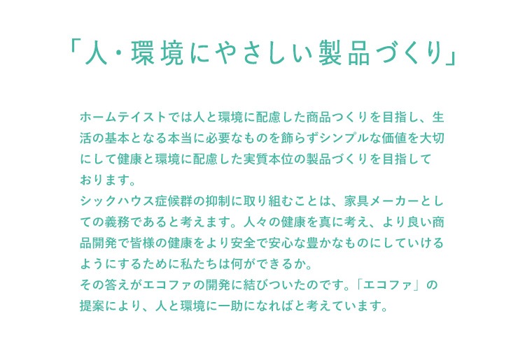 エコファ 【ECOFUR-300】 シックハウス対策スプレー(300mlタイプ)