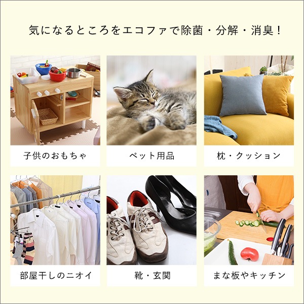 エコファ 【ECOFUR-V300】 ウィルス・細菌・シックハウス対策スプレー(300mlタイプ)
